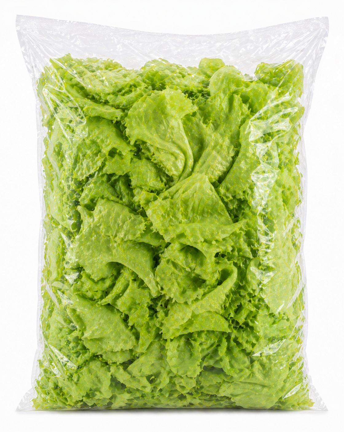 Alface crespa