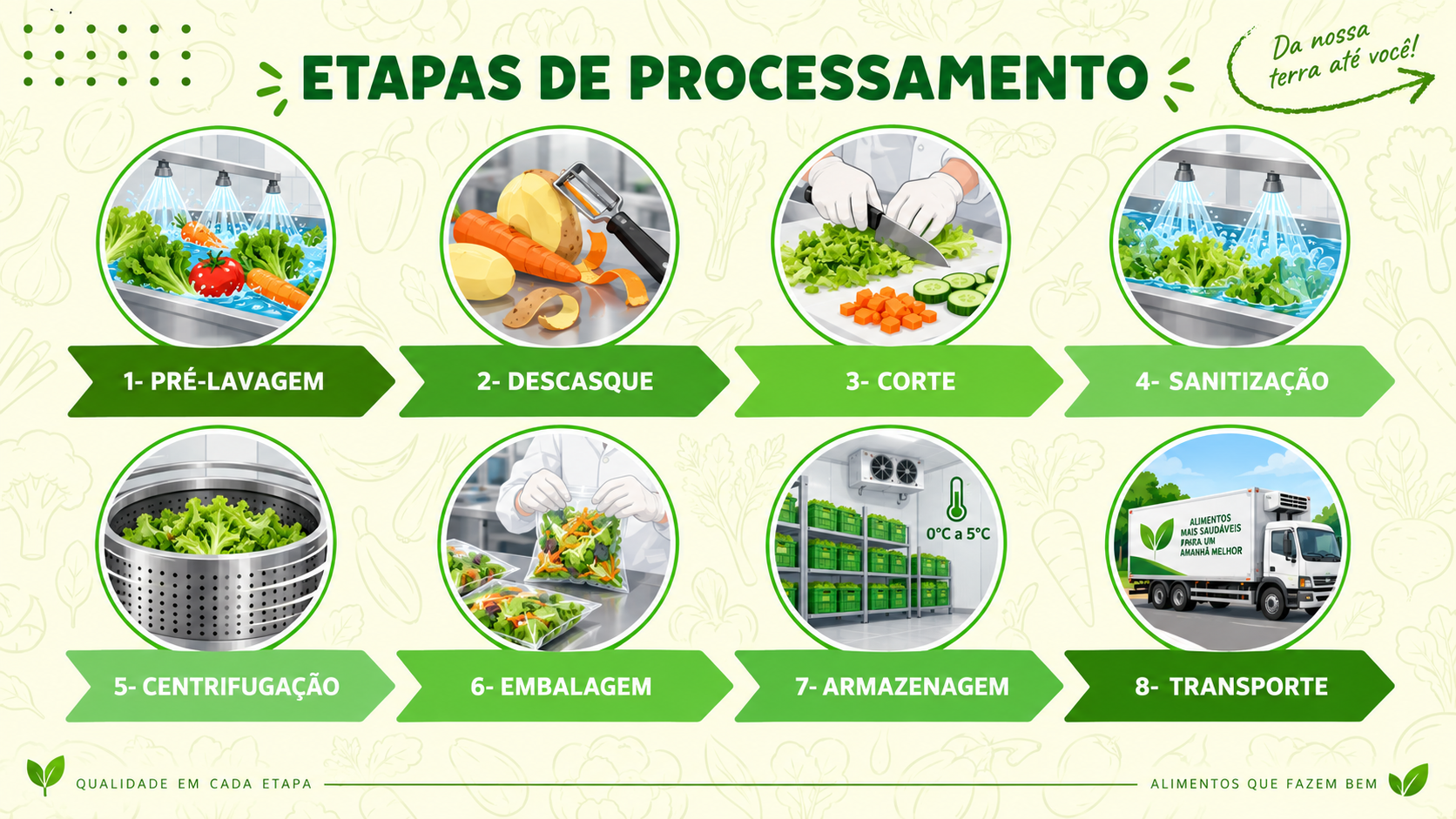 Infográfico com as etapas de processamento: 1 Pré-lavagem, 2 Descasque, 3 Corte, 4 Sanitização, 5 Centrifugação, 6 Embalagem, 7 Armazenagem e 8 Transporte.